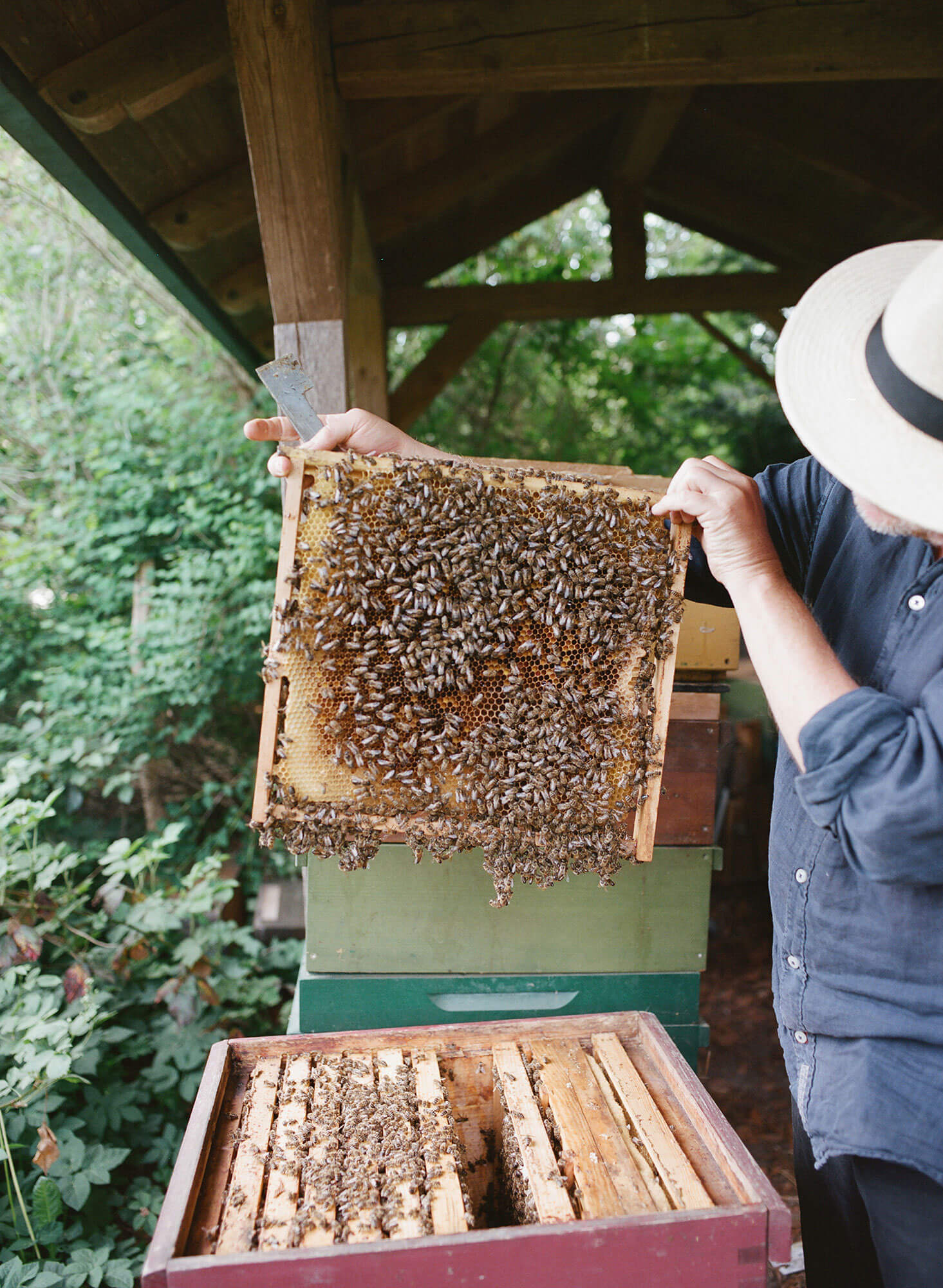 Atelier Fanelsa Bees Image by Zara Pfeifer