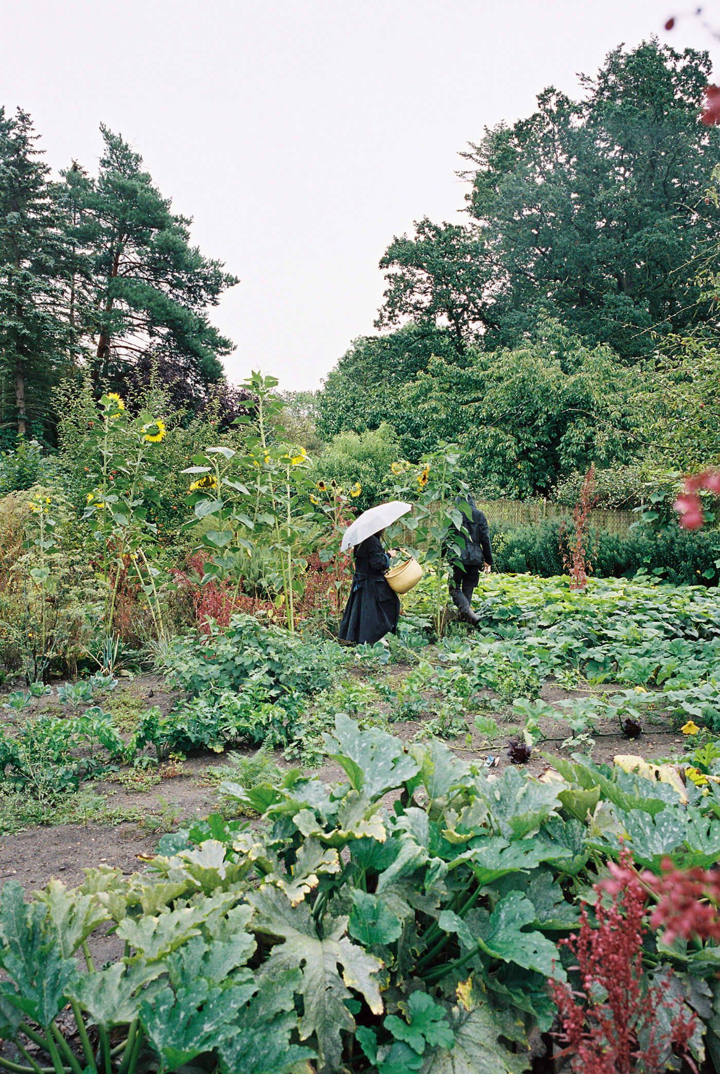 Atelier Fanelsa Nature Image by Zara Pfeifer
