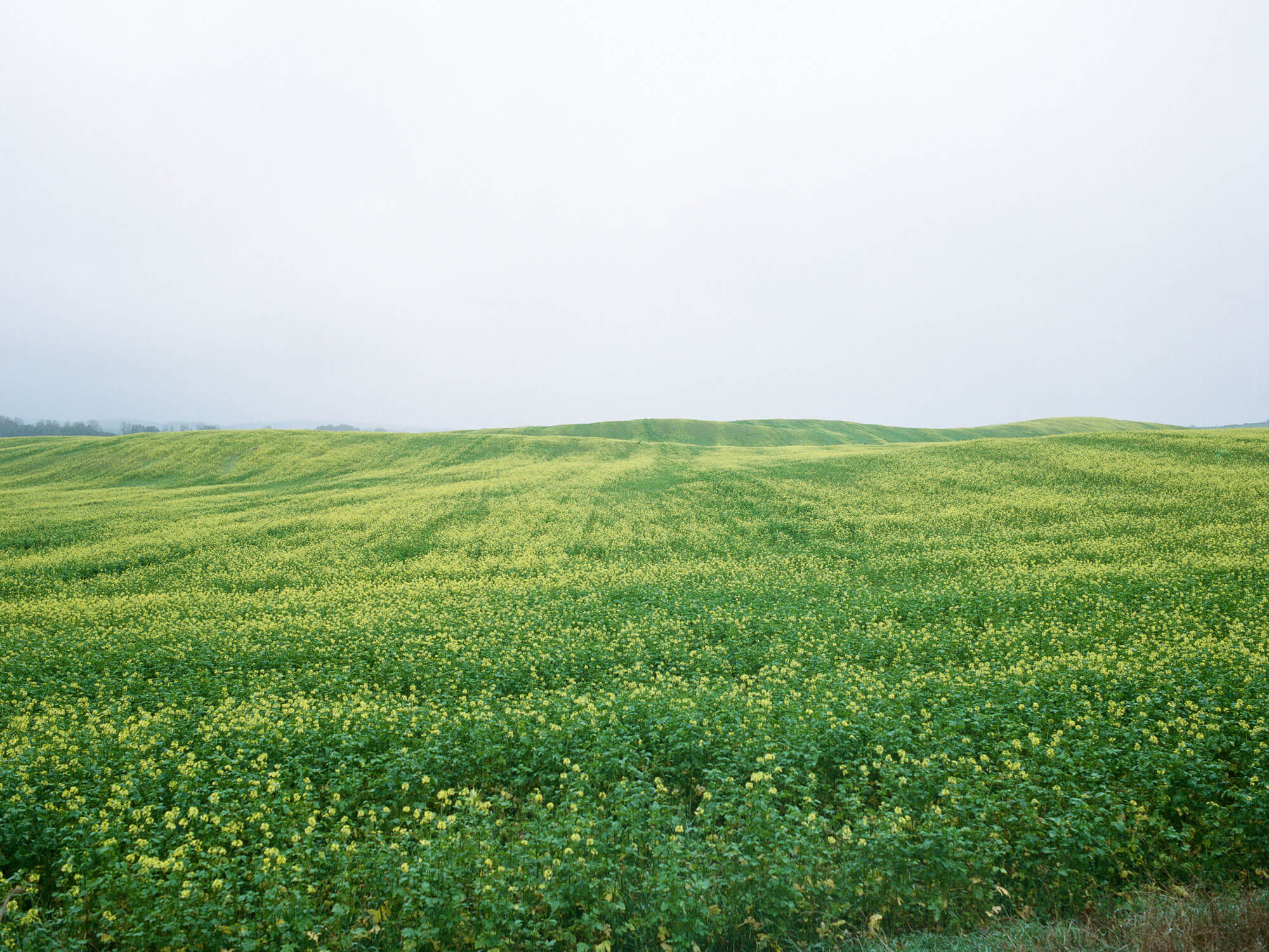 Atelier Fanelsa Nature Image by Zara Pfeifer