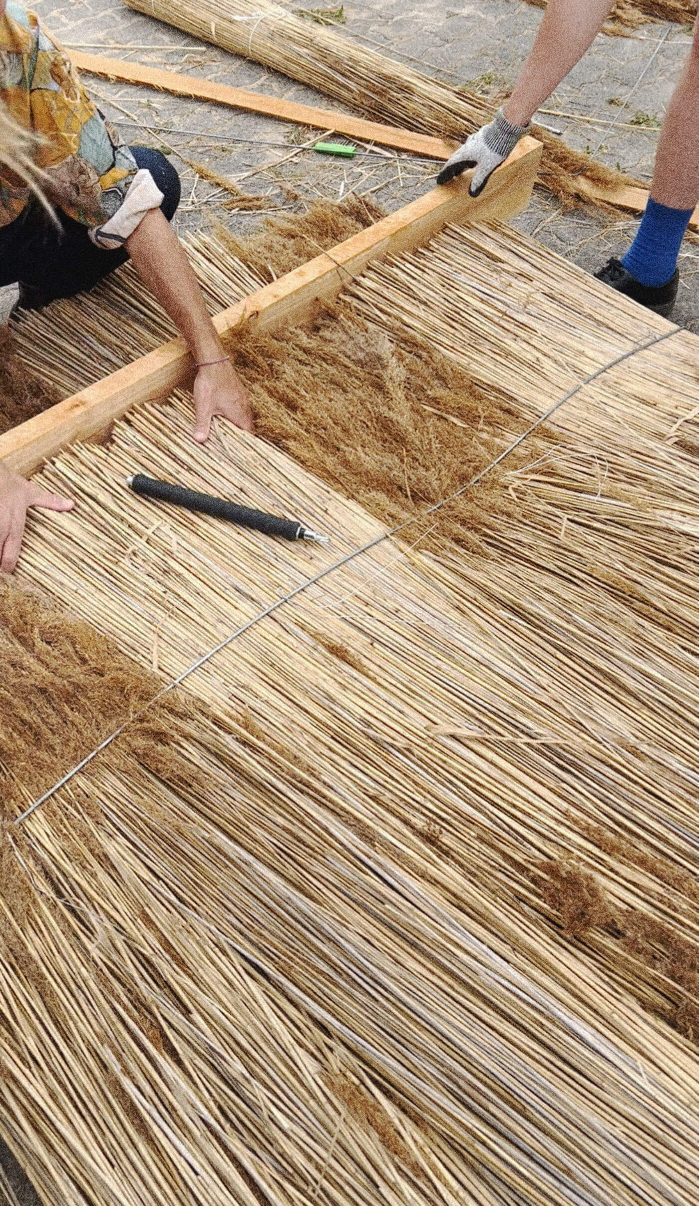 Atelier Fanelsa Paludi Workshop