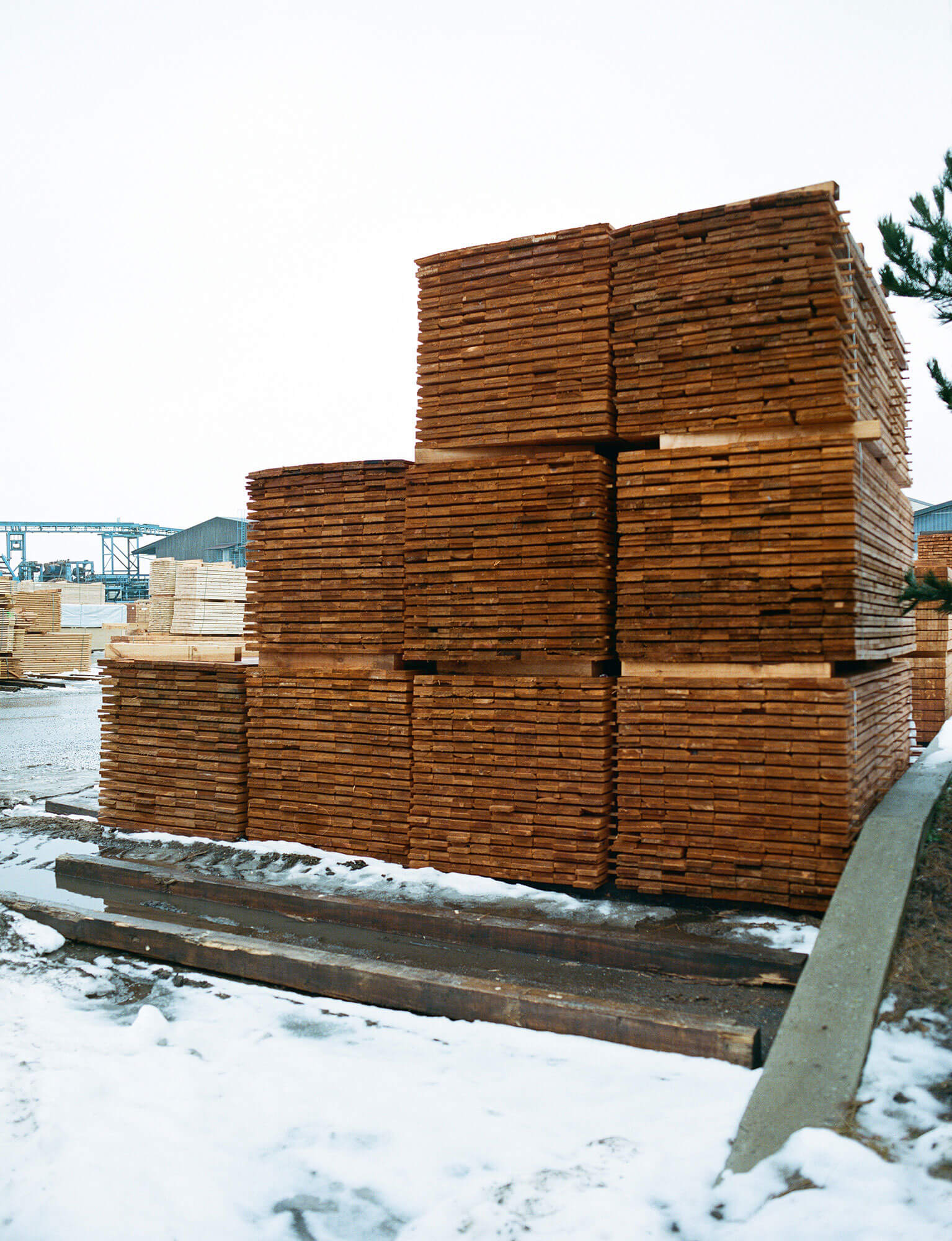 Atelier Fanelsa Timber Image by Zara Pfeifer