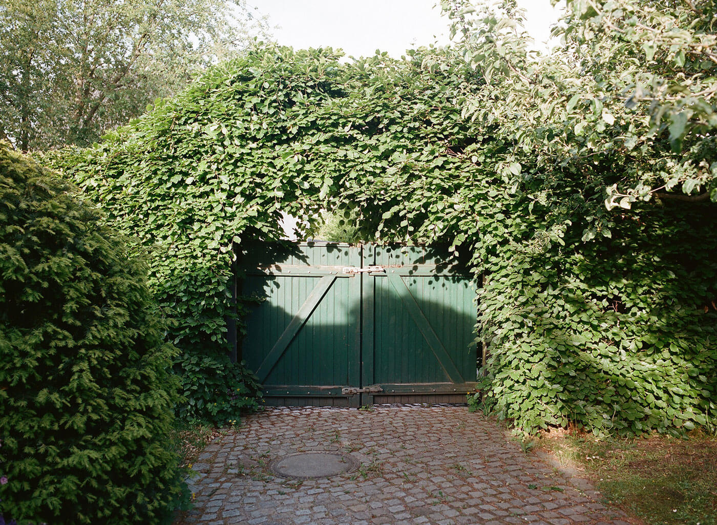 AtelierFanelsa Eden, Image by ZaraPfeifer