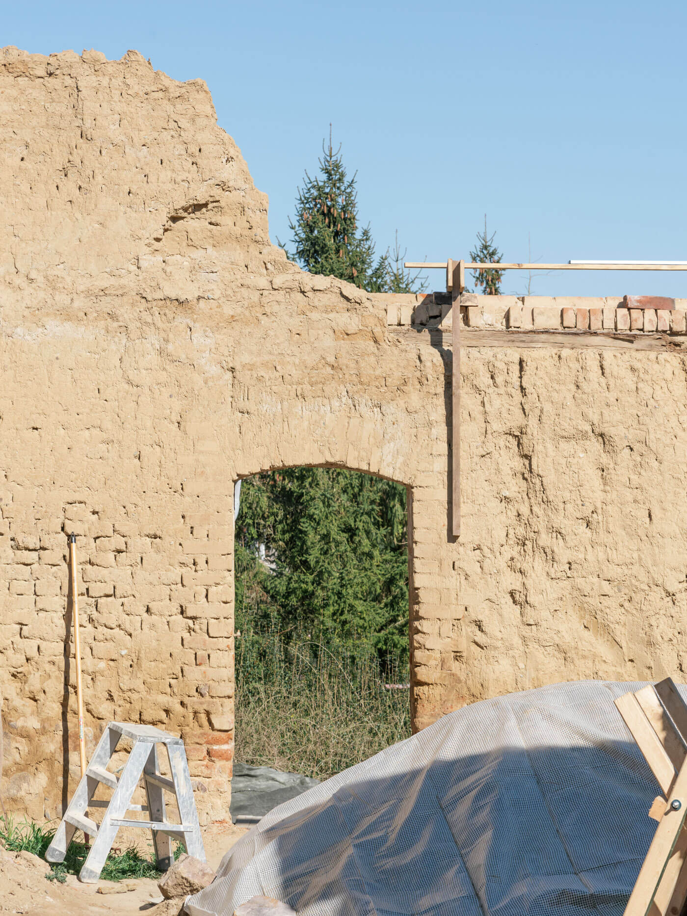 Atelier Fanelsa Gemuseeck, Image by Simone Marcolin